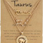 Gold/Silver Zodiac Necklace 12 Constellation Astrology Card Packaging Horoscope Charm Necklace Set for Women Birthday Anniversary Jewelry Gift - Taurus Products for men