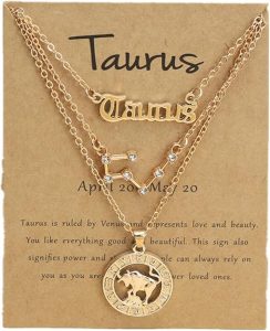 Gold/Silver Zodiac Necklace 12 Constellation Astrology Card Packaging Horoscope Charm Necklace Set for Women Birthday Anniversary Jewelry Gift - Taurus Products for men