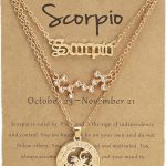 Gold/Silver Zodiac Necklace 12 Constellation Astrology Card Packaging Horoscope Charm Necklace Set for Women Birthday Anniversary Jewelry Gift - Scorpio Accessories for men