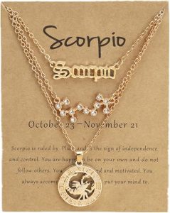 Gold/Silver Zodiac Necklace 12 Constellation Astrology Card Packaging Horoscope Charm Necklace Set for Women Birthday Anniversary Jewelry Gift - Scorpio Accessories for men