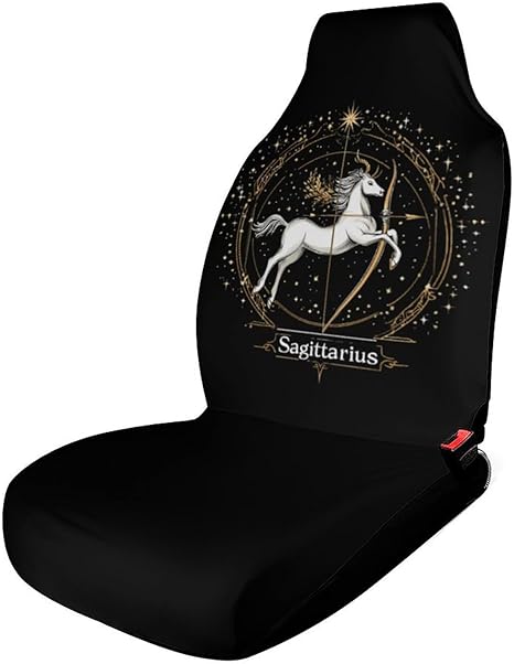 Sagittarius Zodiac Sign Printed Car Seat Covers Washable Universal Auto Front Seats Protector Fits for Most Cars - Aquarius Car Seat Cover for men