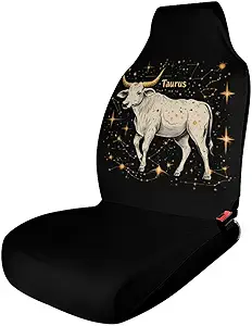 Zodiac Sign Taurus Printed Car Seat Covers Washable Universal Auto Front Seats Protector Fits for Most Cars - Aquarius Car Seat Cover for men