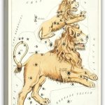 UVCHTRZSAK Vintage Leo Zodiac Sign Poster Astronomical Leo Illustration Art Print Canvas Poster Wall Art Decor Print Picture Paintings for Living Room Bedroom Decoration 16x24inch(40x60cm) - Leo Canvas for men