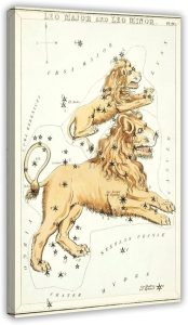 UVCHTRZSAK Vintage Leo Zodiac Sign Poster Astronomical Leo Illustration Art Print Canvas Poster Wall Art Decor Print Picture Paintings for Living Room Bedroom Decoration 16x24inch(40x60cm) - Leo Canvas for men