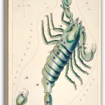 Vintage Astrology Scorpio Zodiac Sign Poster,Astronomical Scorpio Illustration Art Print Canvas Poster Wall Art Decor Print Picture Paintings for Living Room Bedroom Decoration 08x12inch(20x30cm) - Scorpio Canvas for men