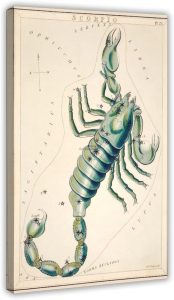 Vintage Astrology Scorpio Zodiac Sign Poster,Astronomical Scorpio Illustration Art Print Canvas Poster Wall Art Decor Print Picture Paintings for Living Room Bedroom Decoration 08x12inch(20x30cm) - Scorpio Canvas for men