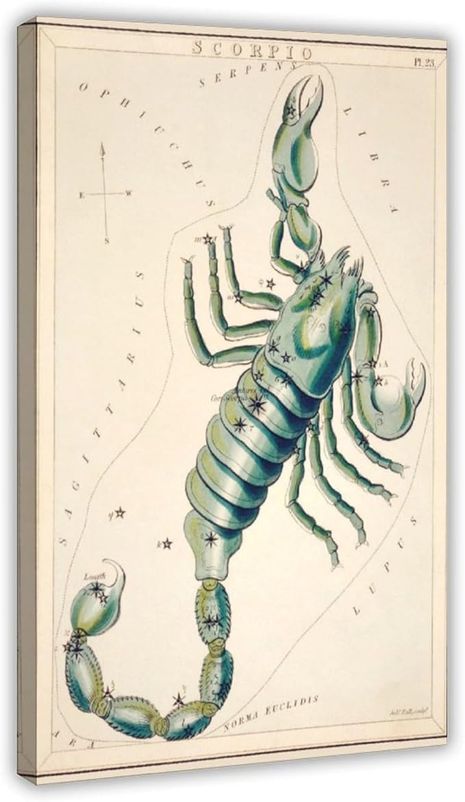 Vintage Astrology Scorpio Zodiac Sign Poster,Astronomical Scorpio Illustration Art Print Canvas Poster Wall Art Decor Print Picture Paintings for Living Room Bedroom Decoration 08x12inch(20x30cm) - Scorpio Canvas for men