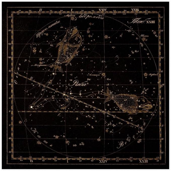 HEOVI Pisces Zodiac Sign, Old Russian Astronomy Chart, Star Constellation Illustration Art Wall Decoration Poster Family Bar Restaurant Garage Cafe Art Sign Gift Unframe-style 12x12inch(30x30cm) - Pisces Canvas for men