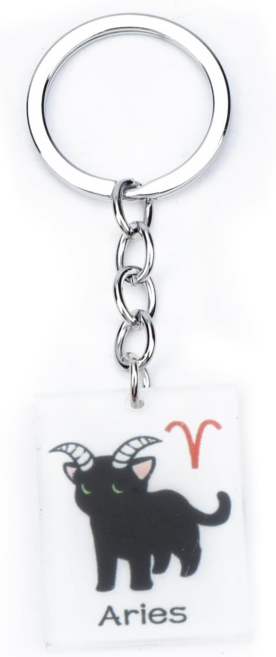 12 Zodiac Signs Black Cat Keychain,Acrylic Funny Cat Keychain for Women,Birthday Gift for Cats Lover - Aries Keychain for men