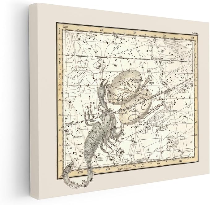 Poster Master Astrology Canvas - Libra and Scorpio Zodiac Print - Constellation Art - Housewarming Gift for Men & Women - Wall Decor for Living Room or Office - Available in 8x10 to 30x40 - Scorpio Canvas for men