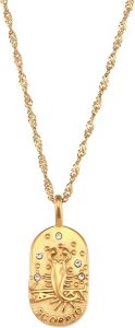 Gold Zodiac Sign Tarot Card Dog Tag Charm Necklace 18K Gold Plated Retro 12 Constellation Pendant Necklaces Trendy Astrology Horoscope Unisex Personalized Jewelry Birthday Gift - Scorpio Accessories for men