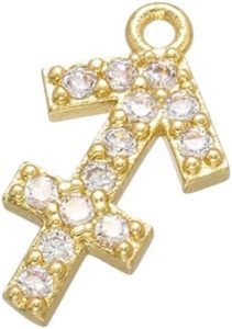 FIEMWRINSIE - Taurus Earrings for men