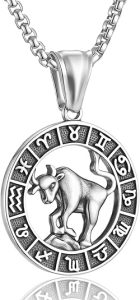 Zodiac Sign Necklaces for Men Women Stainless Steels Leo Libra Aries 12 Constellation Pendant Necklace Astrology Jewelry Birthday Gift - Taurus Products for men