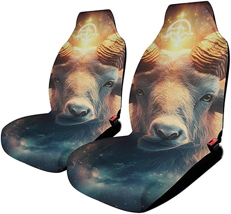 Aries-Zodiac Sign Cute Car Seat Cover Front Seats Cushion Protector Universal Fit Auto Interior Accessories - Aquarius Car Seat Cover for men