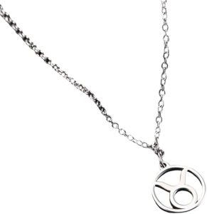 Stainless Steel Aries Zodiac Sign Pendant Necklace, Astrology Ram Symbol Charm for Men and Women - Taurus Products for men