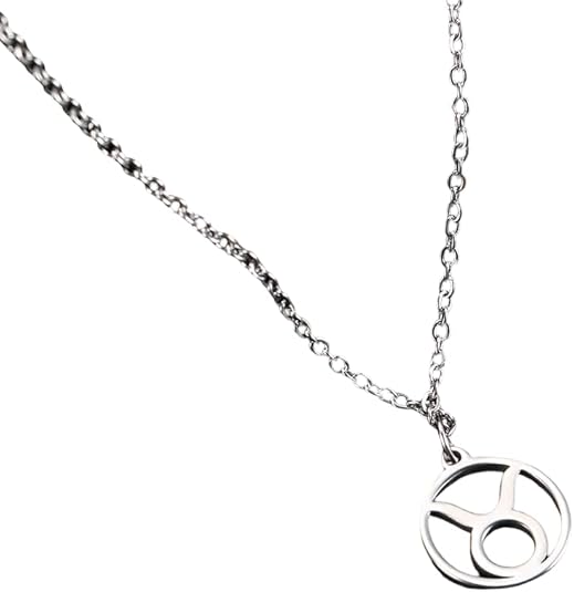 Stainless Steel Aries Zodiac Sign Pendant Necklace, Astrology Ram Symbol Charm for Men and Women - Taurus Products for men