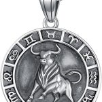 Seiyang Zodiac Necklace 925 Sterling Silver Constellation Pendant Horoscope Medal Zodiac Jewelry Gifts(with Gift Box) - Taurus Products for men
