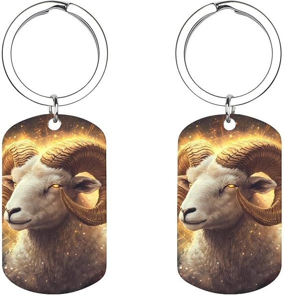 Zodiac Sign Aries Golden Keychain Stainless Steel Key Chain Rings Funny Pendant DIY Crafting Gifts for Women Men - Aries Keychain for men