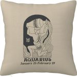 12 Zodiac Signs Throw Pillow Cover Soft and Comfortable for Couch Bed Car Home Decor Square Zodiac Pillow Case Aquarius 18"x18" - Aquarius Pillow for men