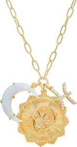 Gold Zodiac Sign Embossed Coin Opal Crescent Moon Charm Necklace for Women Trendy 18K Gold Plated Retro Paperclip Chain 12 Constellation Horoscope Necklaces Astrology Jewelry Gifts - Pisces for men