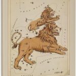 3dRose, Print of Vintage Leo Astrological Sign, Museum Grade Canvas Wrap 16x20 - Leo Canvas for men