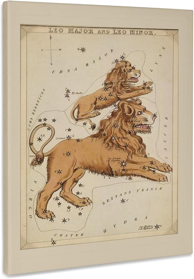 3dRose, Print of Vintage Leo Astrological Sign, Museum Grade Canvas Wrap 16x20 - Leo Canvas for men