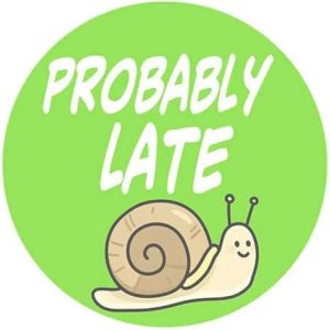 Car Statement Sticker, Reflective New Driver Sign for Please Be Patient, Waterproof Scratch-resistant Statement with No-marking Remove, Universal for Most Cars, Trucks, SUVs (Green) - Scorpio Sticker for men