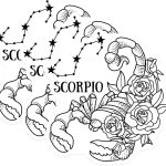 (3 Pack) Scorpio Zodiac Decals - Astrology Sign - Constellation Flower Decals - 3 Inches On Longest Side - Easy Peel & Apply - Made in USA - 3MCS4618 - Scorpio Sticker for men