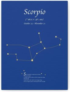 Scorpio Zodiac Canvas Wall Art–Astrology Constellation Print,Star Sign Birthday Gift,Modern Home Decor for Astrology Lovers - Scorpio Canvas for men