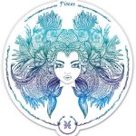 Pisces - 5" Vinyl Sticker - for Car Laptop - Zodiac Sign Horoscope Decal - Pisces Car Accessories for men