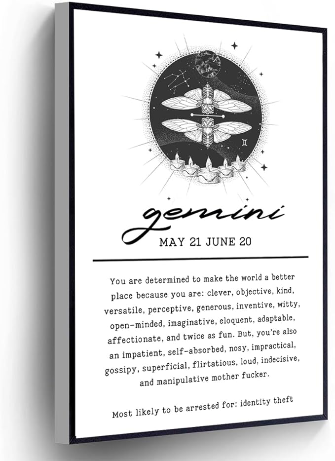 Funny Gemini Horoscope Canvas Sarcastic Motivational Quotes Poster 12 Zodiac Signs Wall Art Print For Living Room Bedroom Home Office Wall Decor(Stretched And Wood Framed 12 X 18) - Gemini Canvas for men