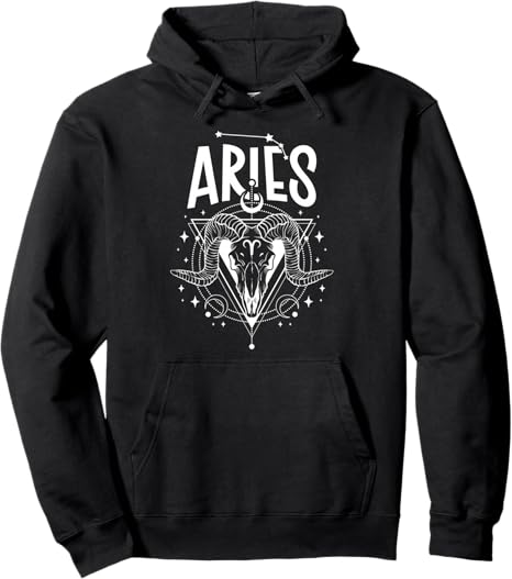 Aries Zodiac Sign Aries Birthday Aries Horoscope Pullover Hoodie - Aries Hoodie for men