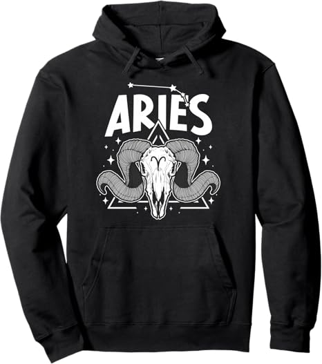 Aries Zodiac Sign Aries Birthday Aries Horoscope Pullover Hoodie - Aries Hoodie for men