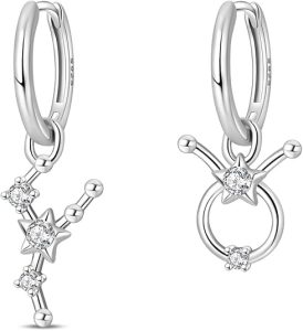 TINSLO - Taurus Earrings for men