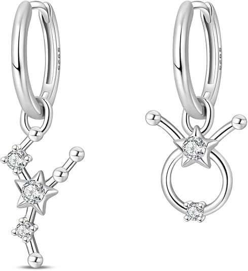 TINSLO - Taurus Earrings for men