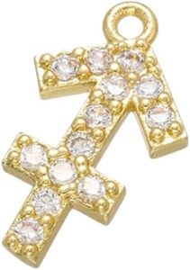 POIAFTETMA - Taurus Earrings for men