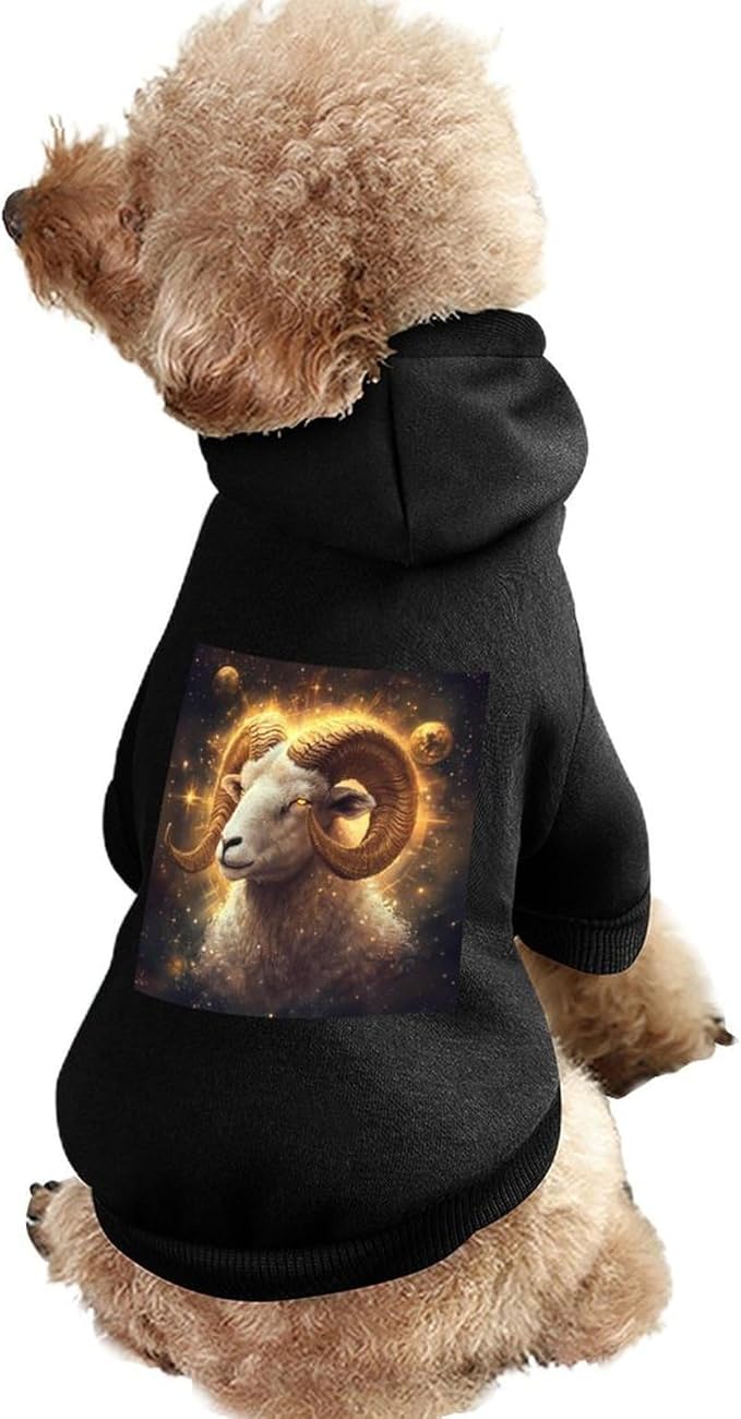 Zodiac Sign Aries GoldenCute Dog Hoodies Pet Clothes Hooded Sweatshirt for Small Dogs and Cats - Aries Hoodie for men