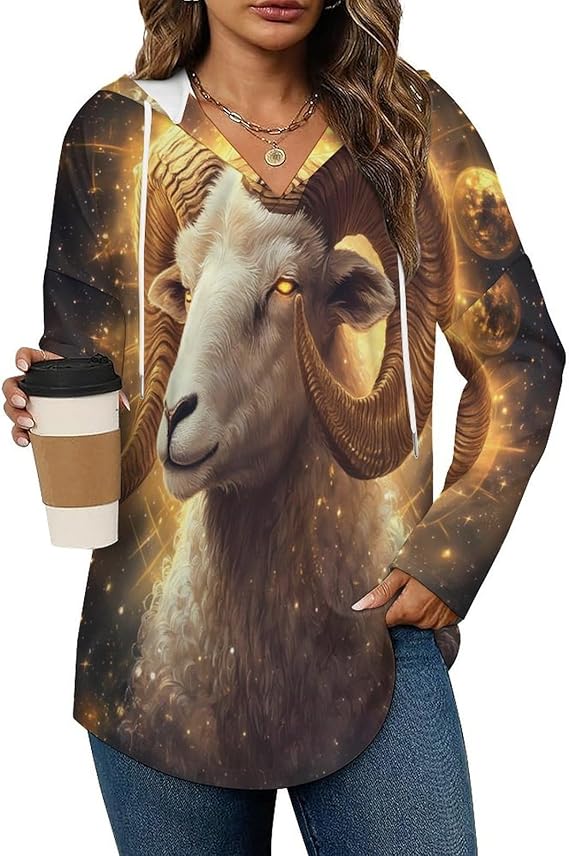 Zodiac Sign Aries Golden Womens Hoodies Pullover Lightweight Hooded Sweatshirts Long Sleeve Shirts Loose Fall Tops - Aries Hoodie for men