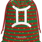 NUSDB Gemini Sign Christmas Gift Bags, Santa Wrapping Bags, Xmas Presents Bag With Drawstring, Holiday Party Favors Birthday & Christmas Gift (Large Medium Small) - Gemini Canvas for men