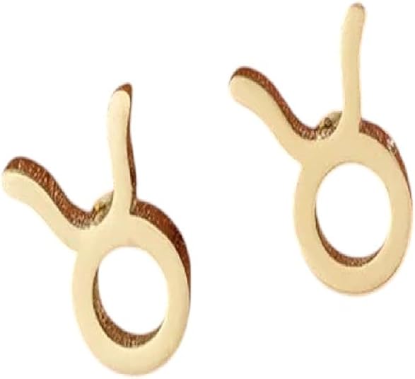 New 2026 12 Constellation Jewelry Stainless Steel Zodiac Sign Earrings Aries Leo Taurus Aiquarius Scorpio Ear Studs Lovers Valentine Gifts Fashion Accessories Creative Gift - Aries Earrings for men