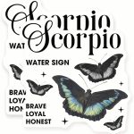 Scorpio Zodiac Stickers - Butterfly Astrology Signs - Water Sign Decal - 2 Pack - 5" Wide Design - Adheres to Laptops, Tumblers, and More – Made in The USA - AQS10781 - Scorpio Sticker for men